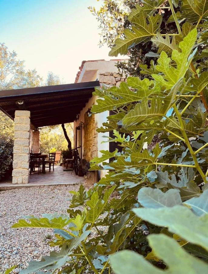 Casa vacanze Ovostolai *