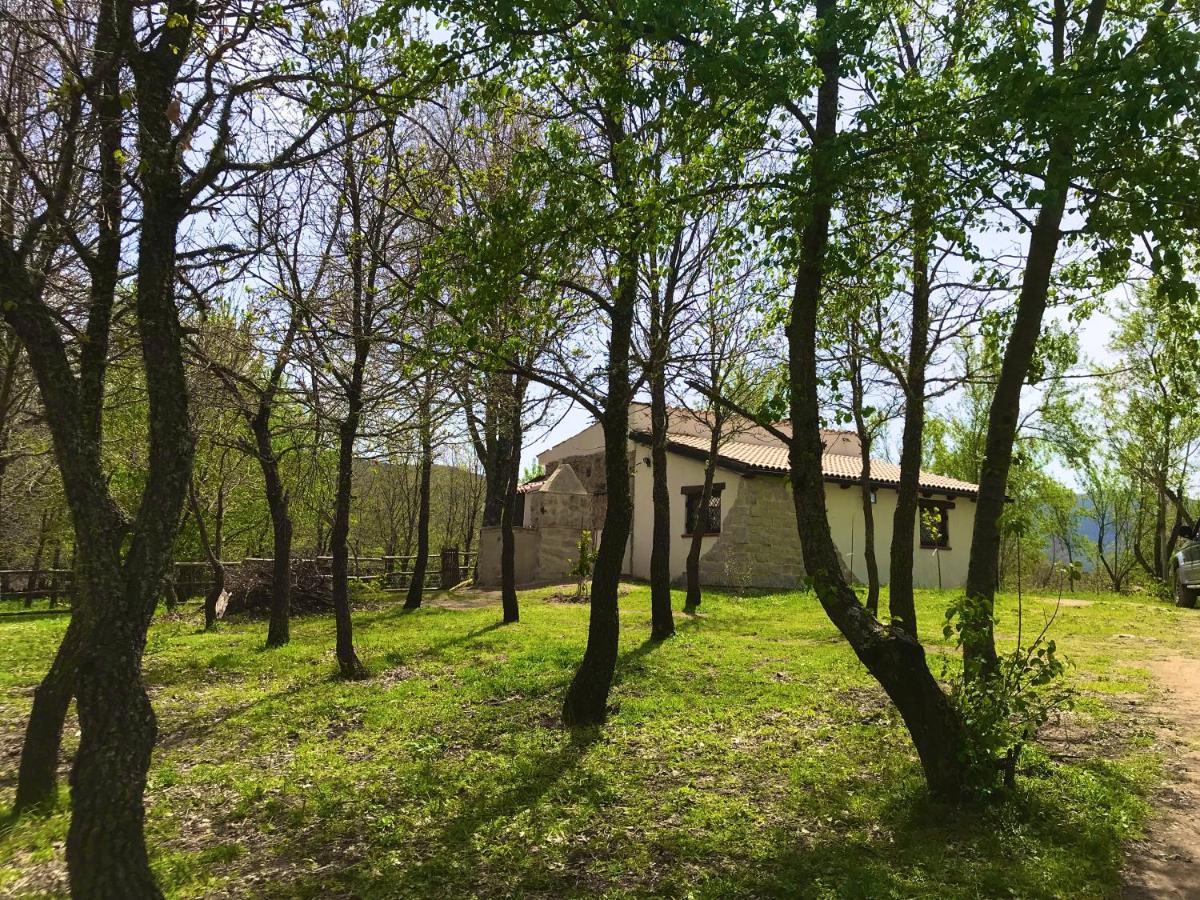 Ovostolai Fonni