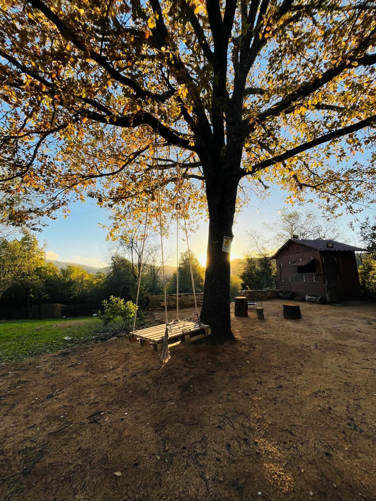 Ovostolai