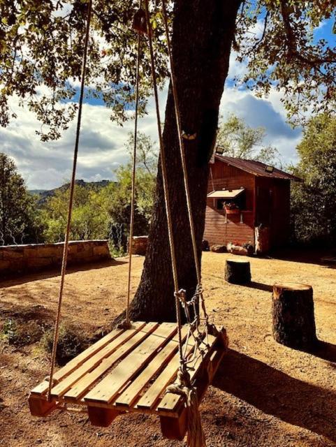 Holiday home Ovostolai Fonni