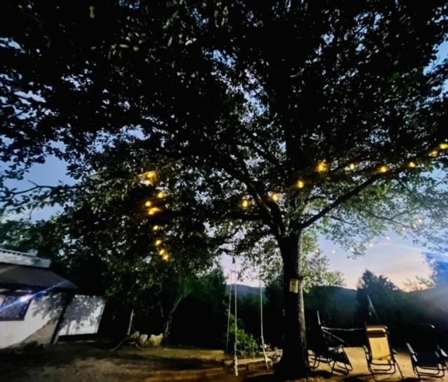 Ovostolai Holiday home Fonni
