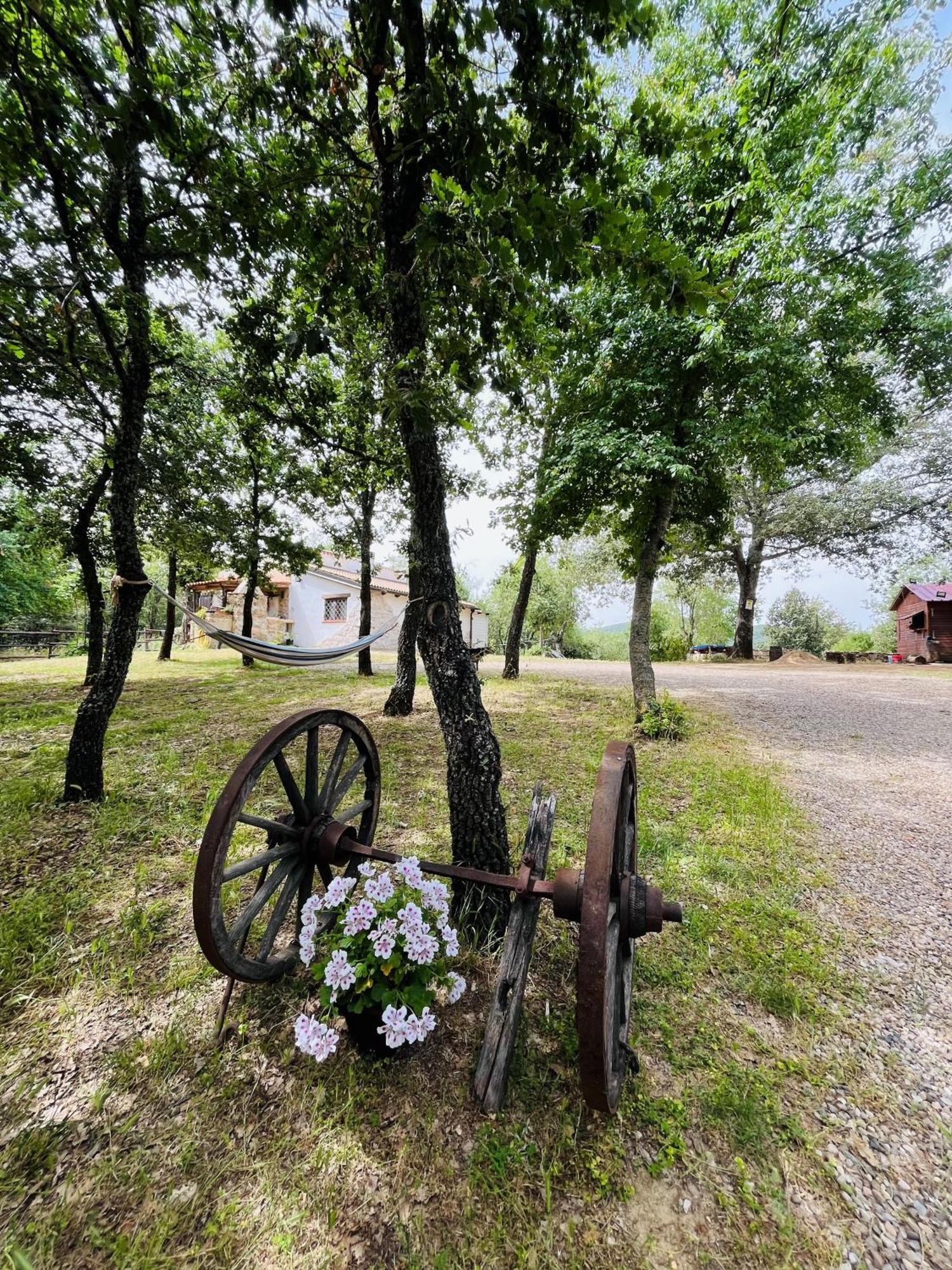 Ovostolai Holiday home *